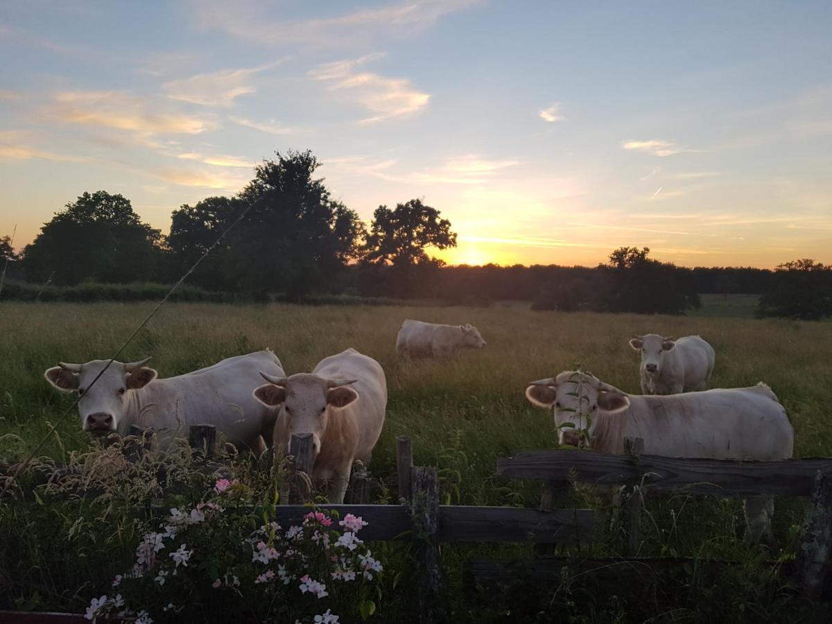 La Lisiere Du Morvan Magny-Lormes Dış mekan fotoğraf