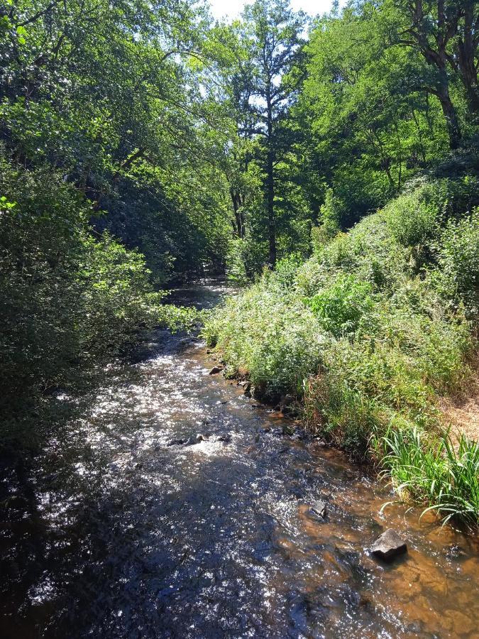 La Lisiere Du Morvan Magny-Lormes Dış mekan fotoğraf